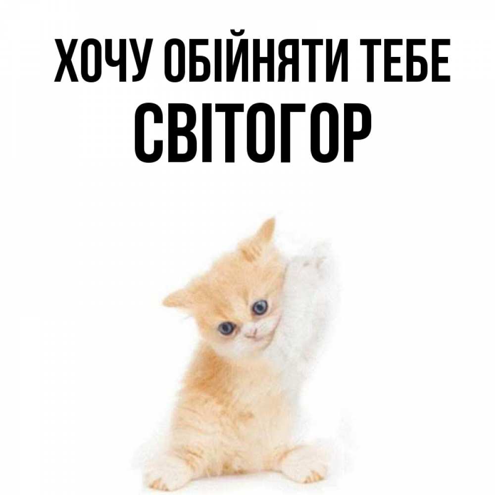 Открытка на каждый день з підписом, Світогор Хочу обійняти тебе я хочу очень скорее обнимаешек Прикольна листівка з побажанням онлайн скачати безкоштовно 