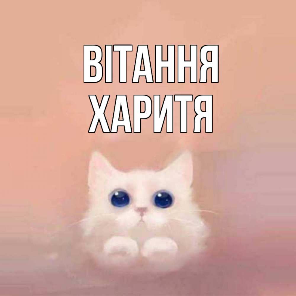 Открытка на каждый день з підписом, Харитя Вітання котик белый в полете Прикольна листівка з побажанням онлайн скачати безкоштовно 