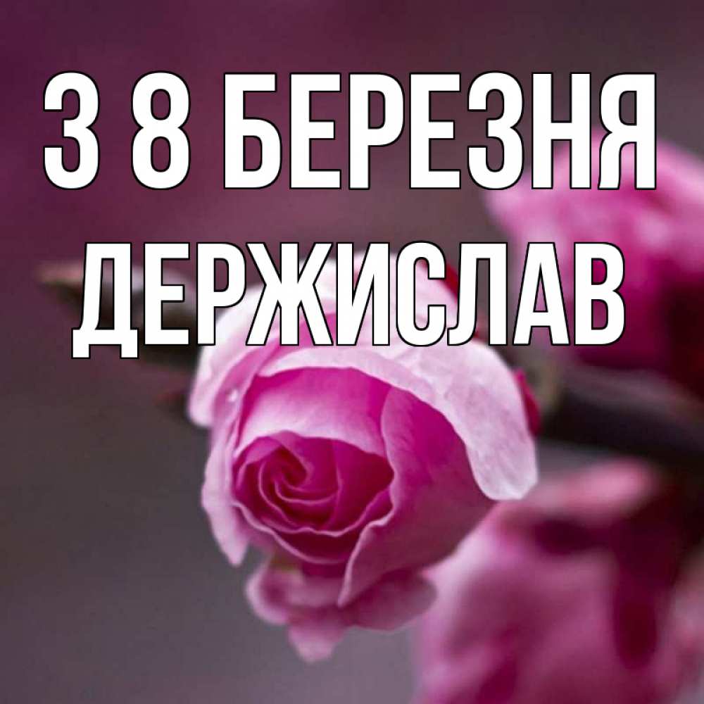Открытка на каждый день з підписом, Держислав З 8 БЕРЕЗНЯ весна Прикольна листівка з побажанням онлайн скачати безкоштовно 