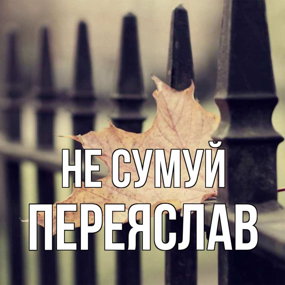 Открытка на каждый день з підписом, Переяслав Не сумуй лист клена Прикольна листівка з побажанням онлайн скачати безкоштовно 