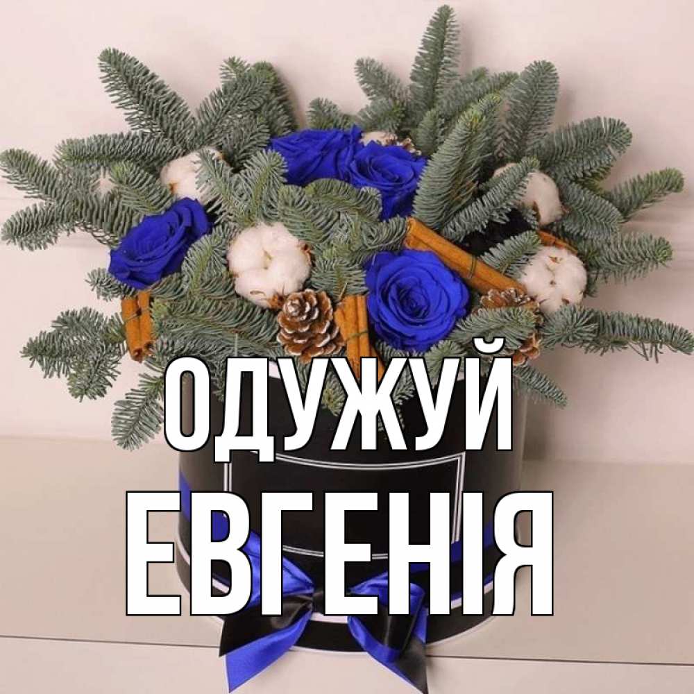 Открытка на каждый день з підписом, Евгенія Одужуй короче кто то загрузил эти шишки Прикольна листівка з побажанням онлайн скачати безкоштовно 