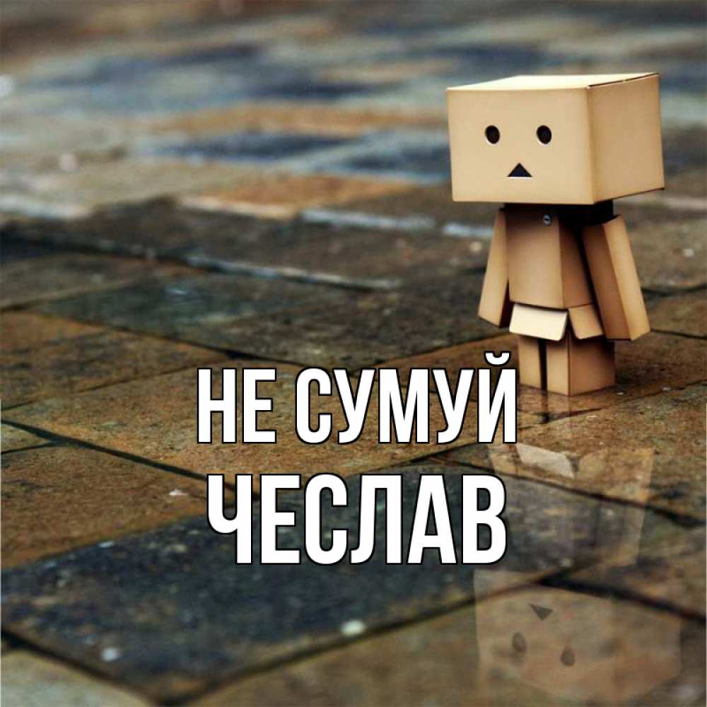 Открытка на каждый день з підписом, Чеслав Не сумуй Стив Прикольна листівка з побажанням онлайн скачати безкоштовно 