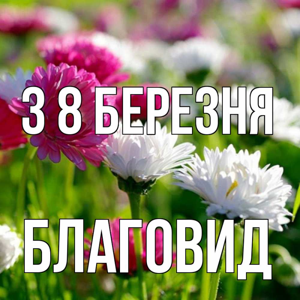 Открытка на каждый день з підписом, Благовид З 8 БЕРЕЗНЯ международный женский день 1 Прикольна листівка з побажанням онлайн скачати безкоштовно 