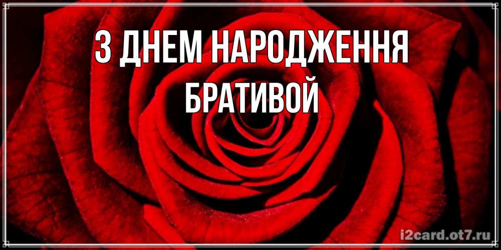 Открытка на каждый день з підписом, Бративой З Днем народження алая роза Прикольна листівка з побажанням онлайн скачати безкоштовно 