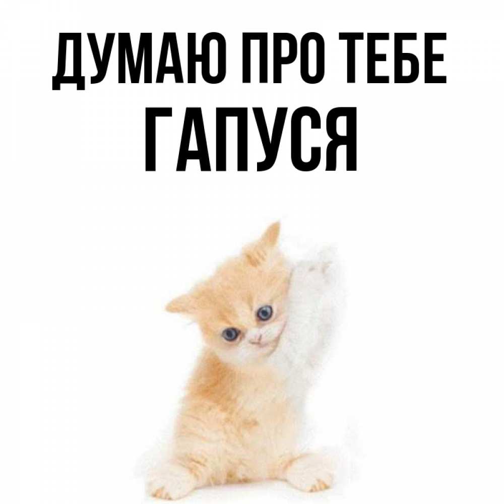 Открытка на каждый день з підписом, Гапуся Думаю про тебе зверушки и милота Прикольна листівка з побажанням онлайн скачати безкоштовно 