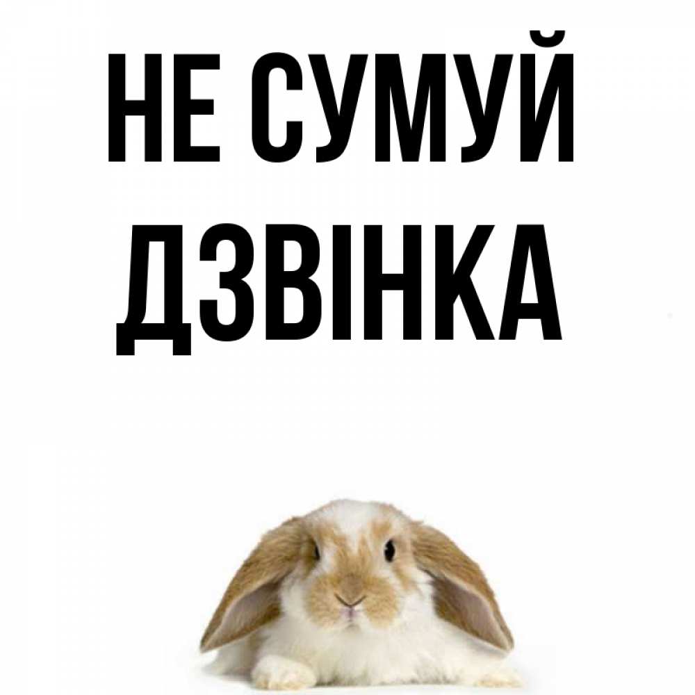 Открытка на каждый день з підписом, Дзвінка Не сумуй коричнево белый заяц с большими ушками Прикольна листівка з побажанням онлайн скачати безкоштовно 