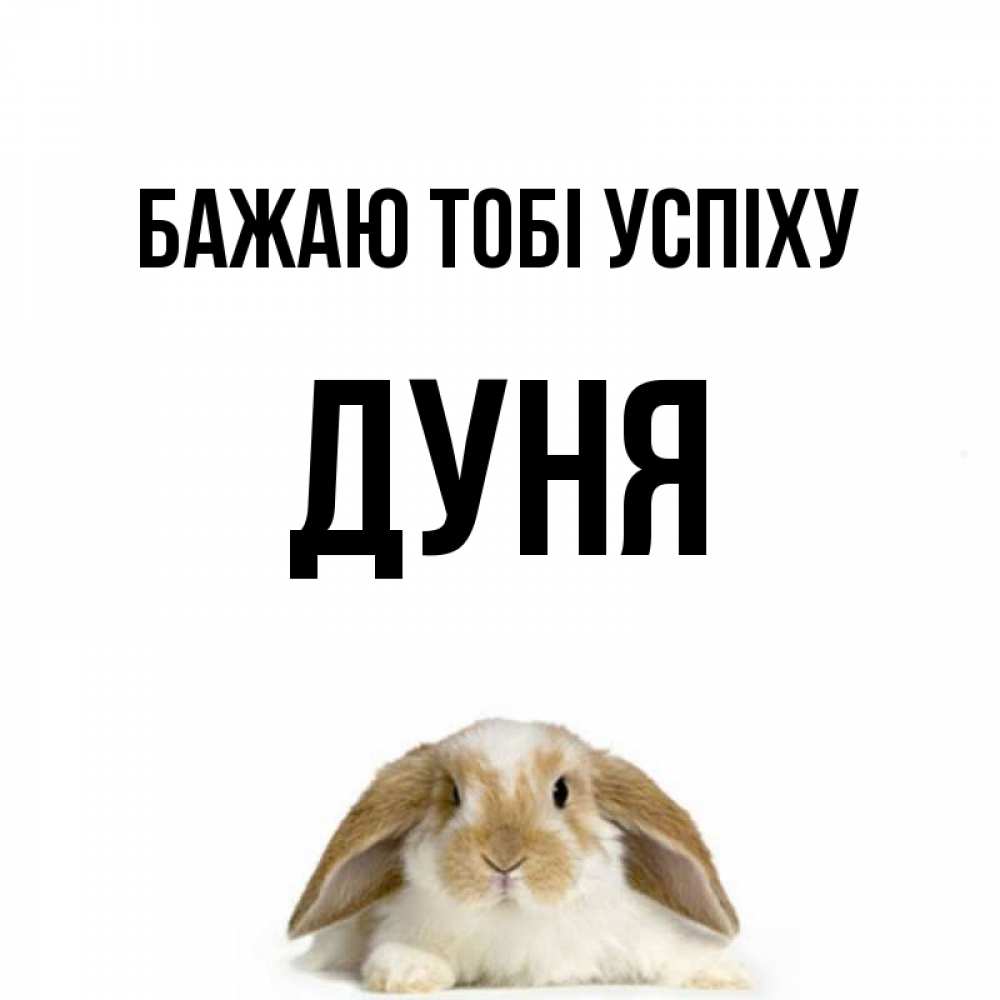 Открытка на каждый день з підписом, Дуня Бажаю тобі успіху открытки с произвольным текстом который можно вставить в открытку и создать ее самостоятельно бесплатно онлайн Прикольна листівка з побажанням онлайн скачати безкоштовно 