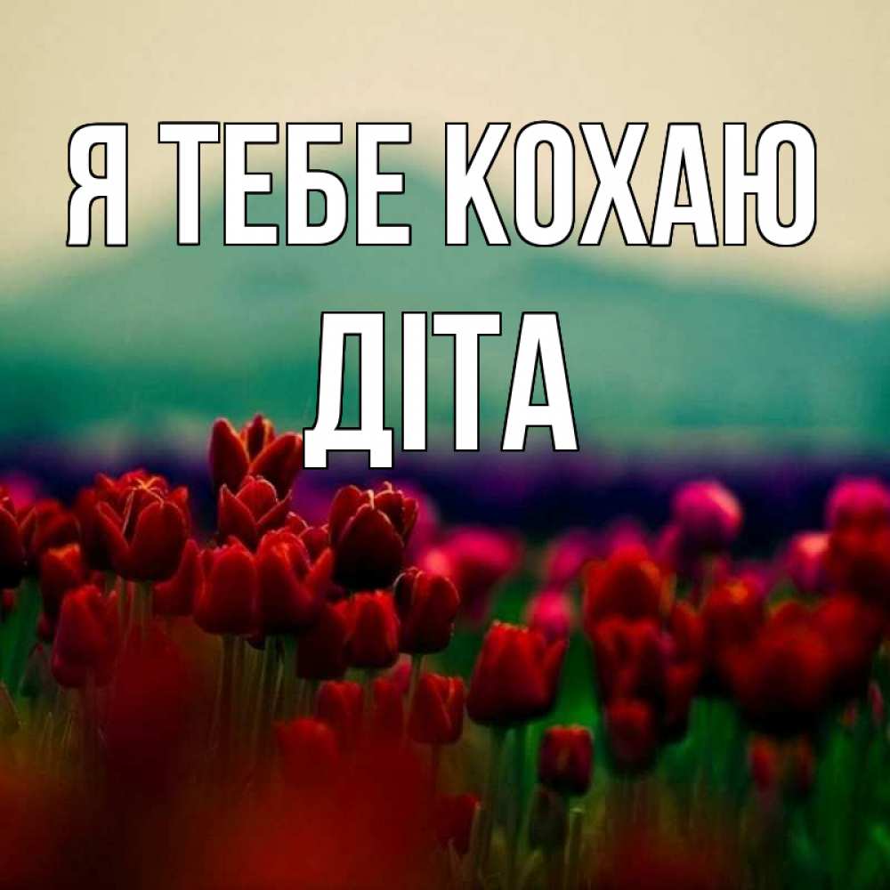Открытка на каждый день з підписом, Діта Я тебе кохаю тюльпаны 4 Прикольна листівка з побажанням онлайн скачати безкоштовно 