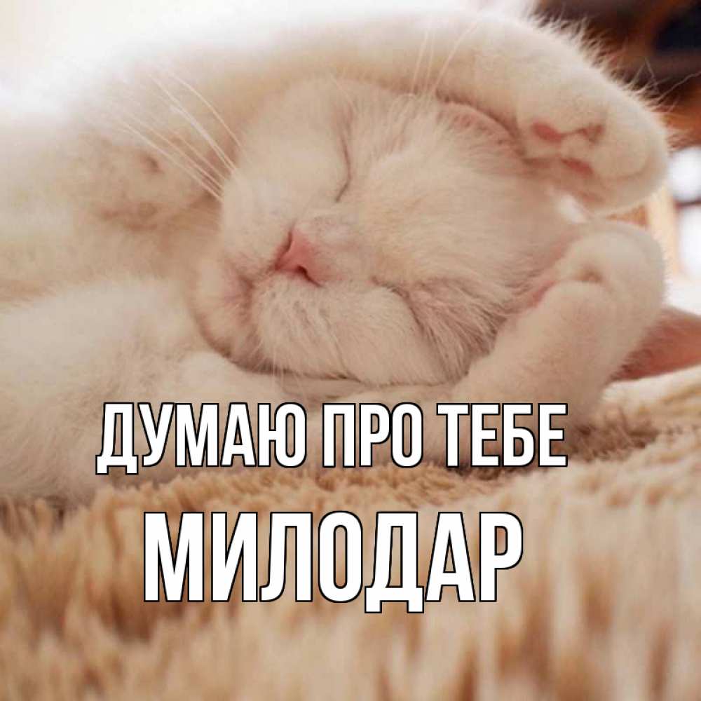 Открытка на каждый день з підписом, Милодар Думаю про тебе для любимой девушки милота Прикольна листівка з побажанням онлайн скачати безкоштовно 