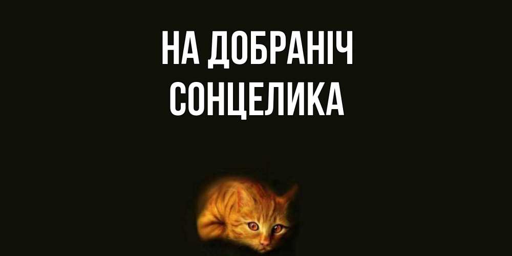Открытка на каждый день з підписом, Сонцелика На добраніч кот Прикольна листівка з побажанням онлайн скачати безкоштовно 