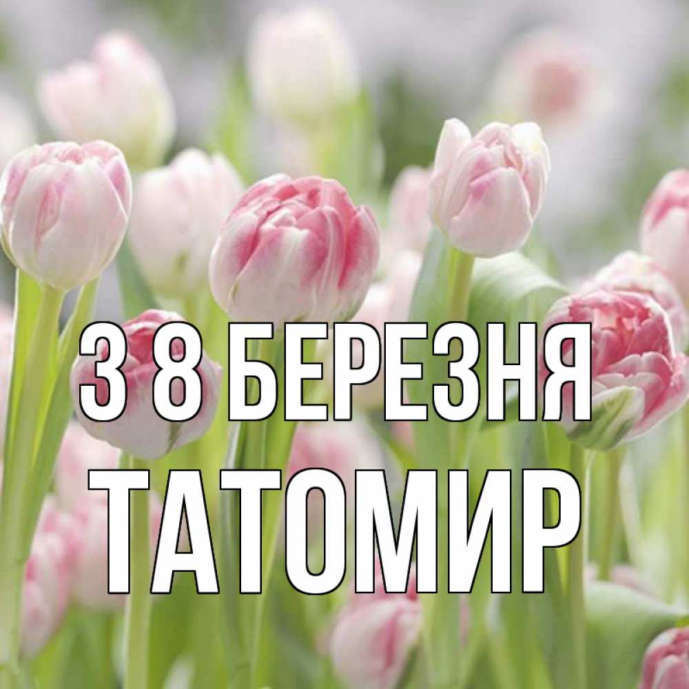 Открытка на каждый день з підписом, Татомир З 8 БЕРЕЗНЯ цветы Прикольна листівка з побажанням онлайн скачати безкоштовно 
