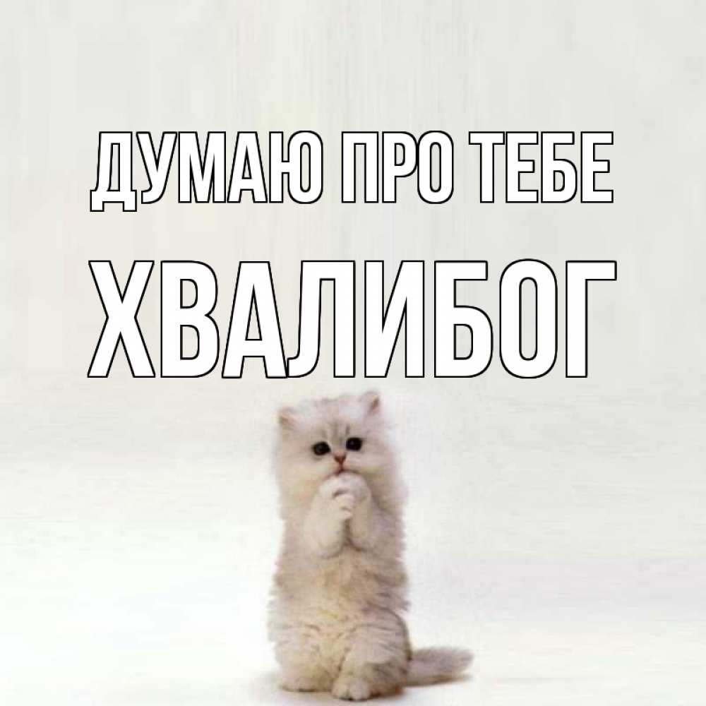 Открытка на каждый день з підписом, Хвалибог Думаю про тебе кот стоит на задних лапах Прикольна листівка з побажанням онлайн скачати безкоштовно 
