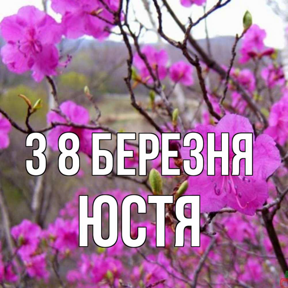 Открытка на каждый день з підписом, Юстя З 8 БЕРЕЗНЯ международный женский день Прикольна листівка з побажанням онлайн скачати безкоштовно 