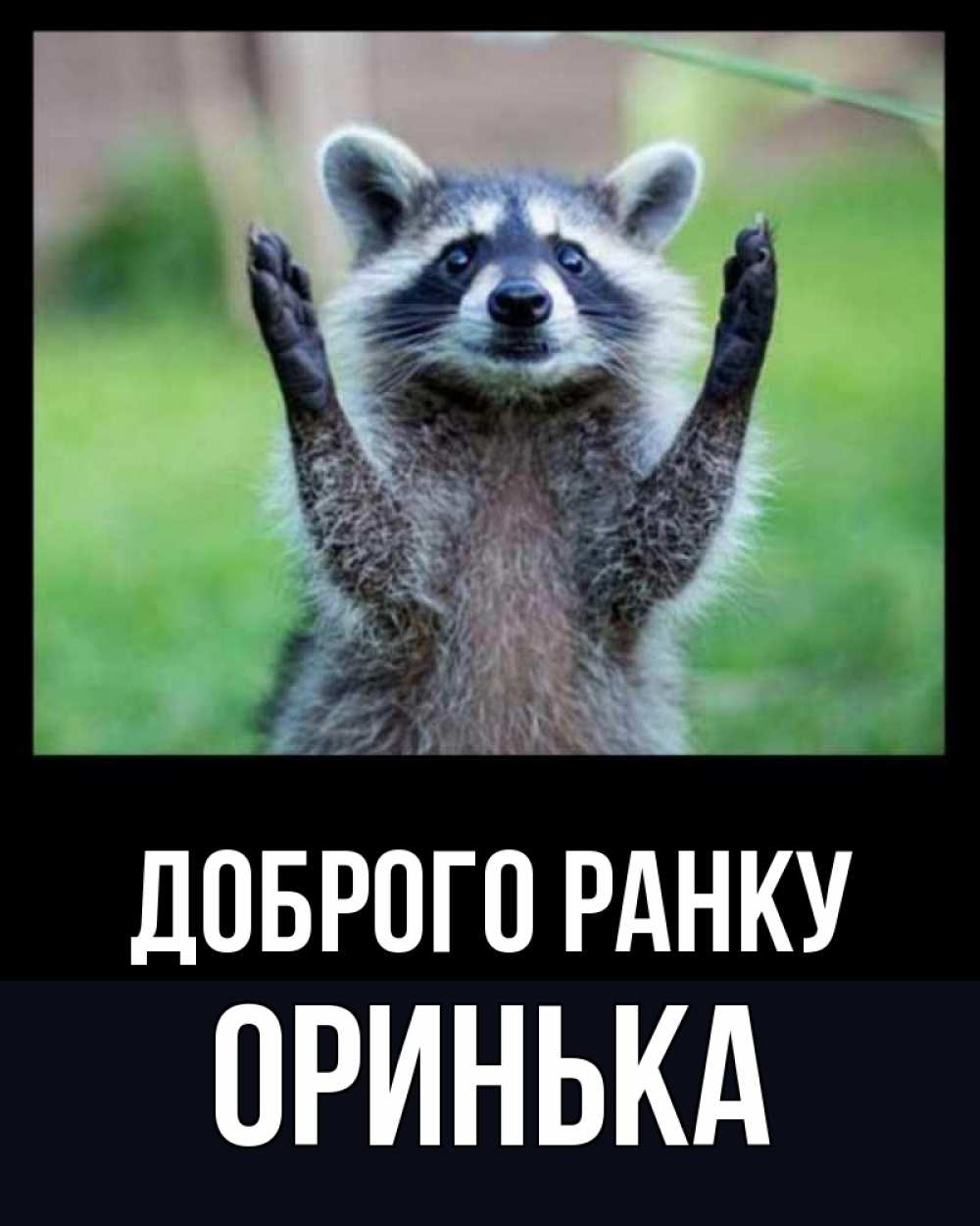 Открытка на каждый день з підписом, Оринька Доброго ранку хорошее настроение утречком Прикольна листівка з побажанням онлайн скачати безкоштовно 