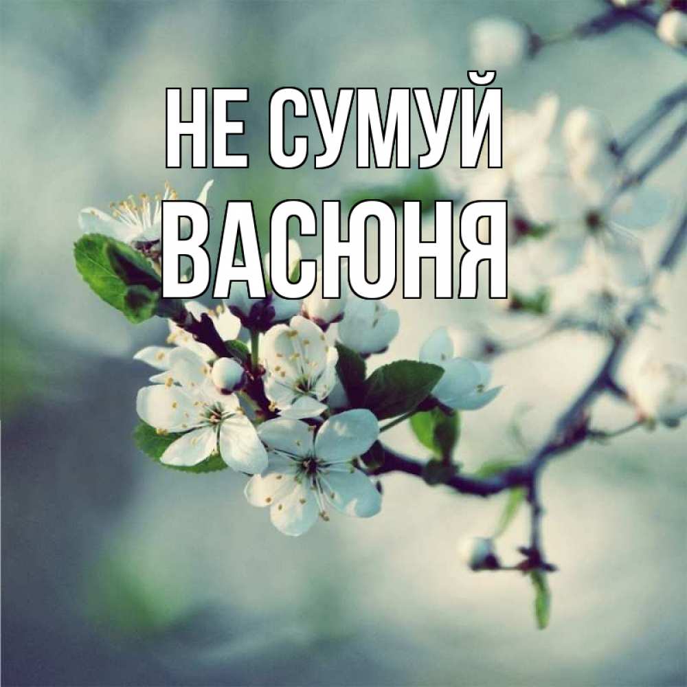 Открытка на каждый день з підписом, Васюня Не сумуй яблоня в цвету 1 Прикольна листівка з побажанням онлайн скачати безкоштовно 