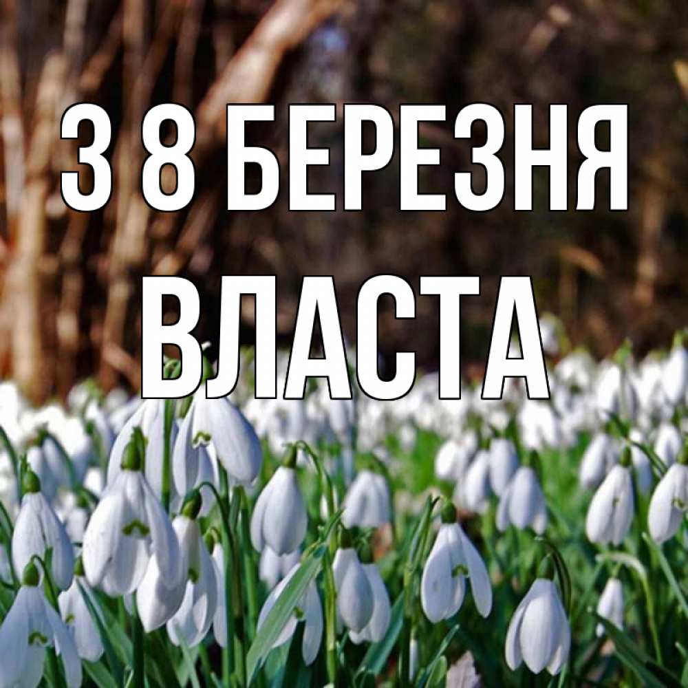 Открытка на каждый день з підписом, Власта З 8 БЕРЕЗНЯ с подснежниками 1 Прикольна листівка з побажанням онлайн скачати безкоштовно 