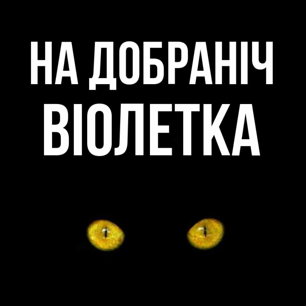 Открытка на каждый день з підписом, Віолетка На добраніч сладких снов бесстрашный мой дружочек Прикольна листівка з побажанням онлайн скачати безкоштовно 