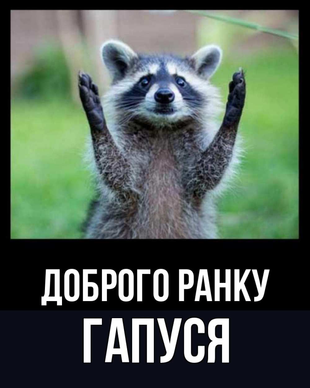 Открытка на каждый день з підписом, Гапуся Доброго ранку хорошее настроение утречком Прикольна листівка з побажанням онлайн скачати безкоштовно 