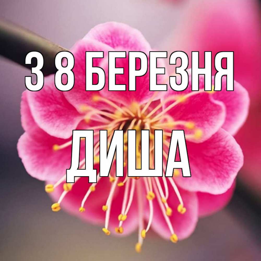 Открытка на каждый день з підписом, Диша З 8 БЕРЕЗНЯ цветы Прикольна листівка з побажанням онлайн скачати безкоштовно 