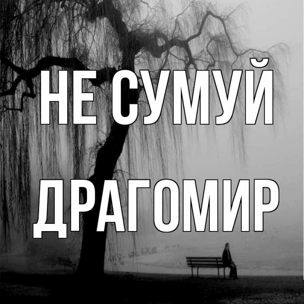 Открытка на каждый день з підписом, Драгомир Не сумуй висящие ветки дерева и лавочка под деревом Прикольна листівка з побажанням онлайн скачати безкоштовно 