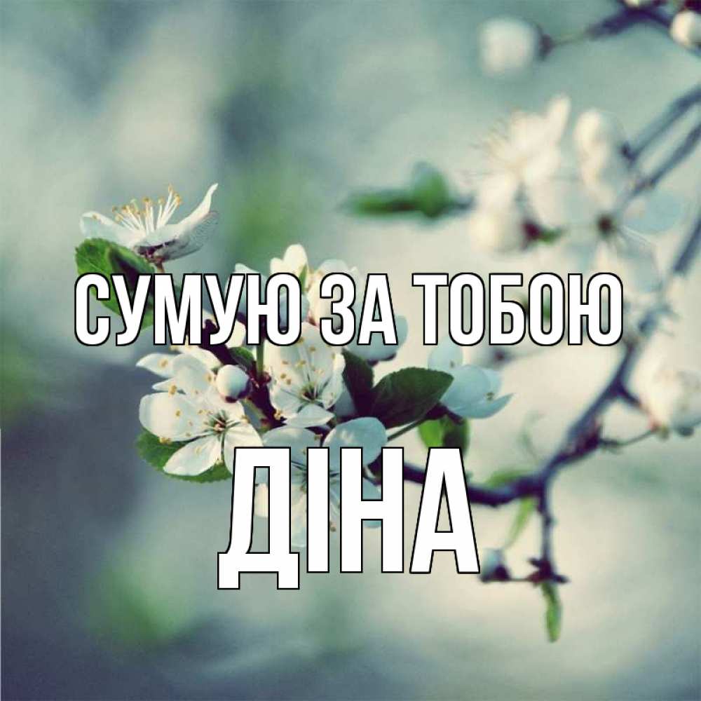 Открытка на каждый день з підписом, Діна Сумую за тобою весна Прикольна листівка з побажанням онлайн скачати безкоштовно 