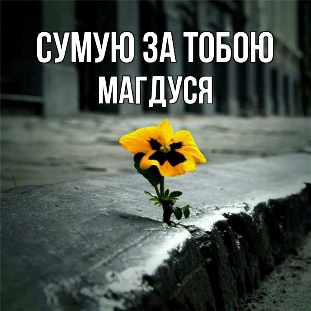 Открытка на каждый день з підписом, Магдуся Сумую за тобою надеюсь будет лучше Прикольна листівка з побажанням онлайн скачати безкоштовно 