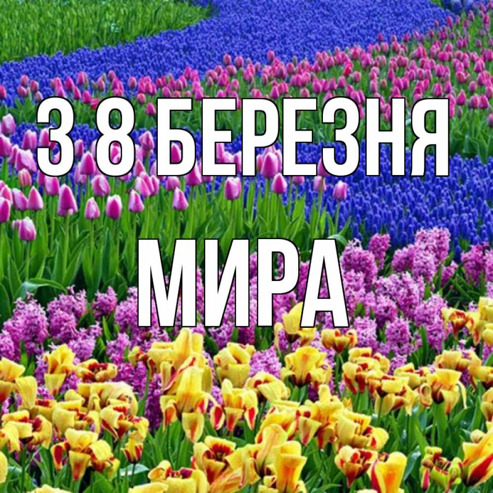Открытка на каждый день з підписом, Мира З 8 БЕРЕЗНЯ цветы Прикольна листівка з побажанням онлайн скачати безкоштовно 