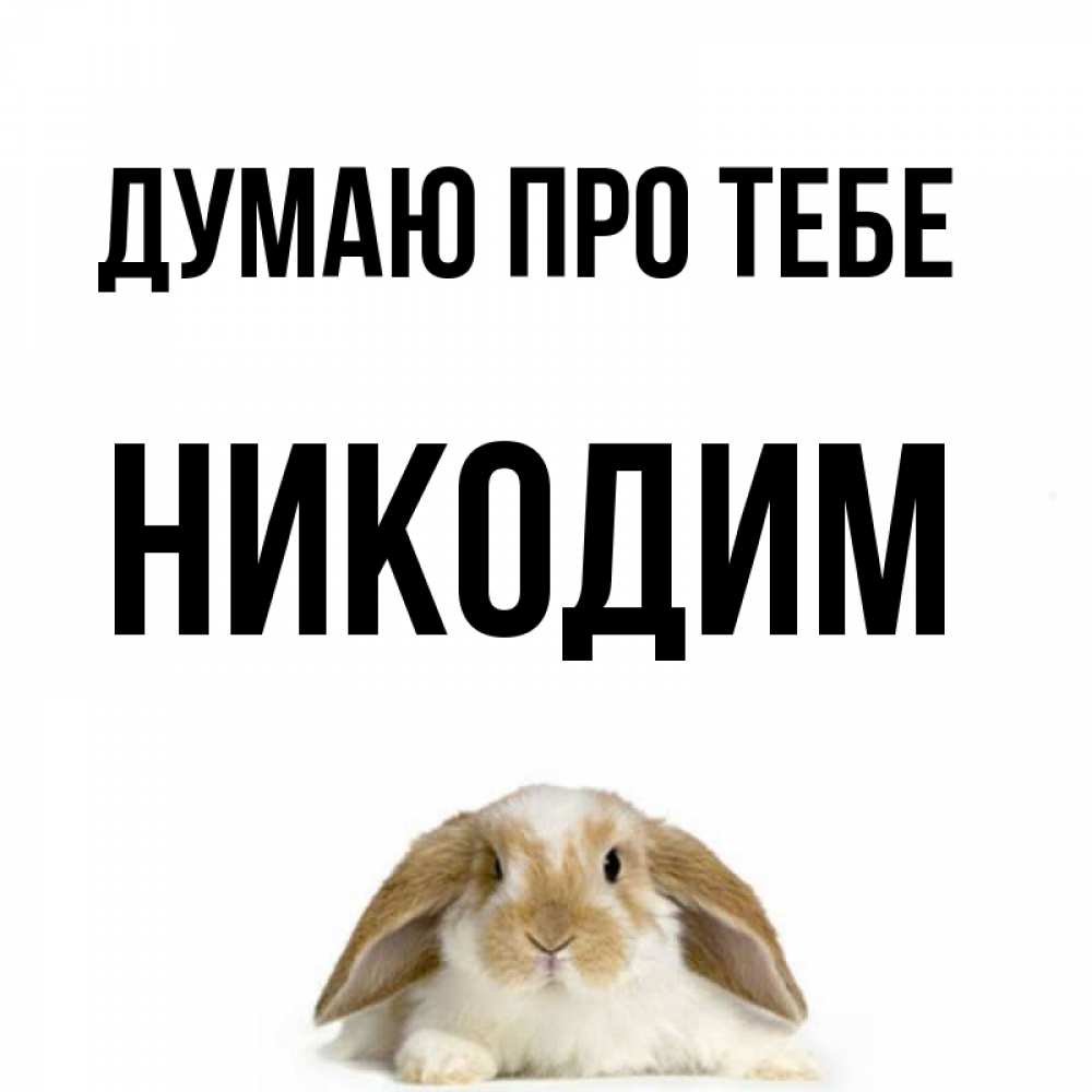 Открытка на каждый день з підписом, Никодим Думаю про тебе подписать своими руками онлайн Прикольна листівка з побажанням онлайн скачати безкоштовно 