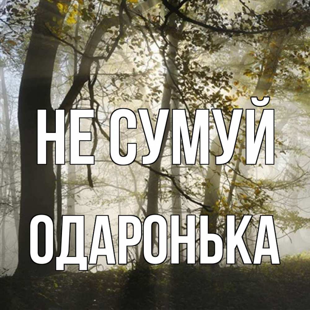 Открытка на каждый день з підписом, Одаронька Не сумуй лес и свет Прикольна листівка з побажанням онлайн скачати безкоштовно 