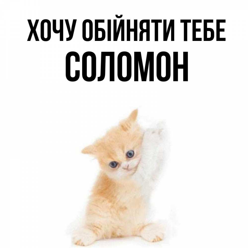 Открытка на каждый день з підписом, Соломон Хочу обійняти тебе я хочу очень скорее обнимаешек Прикольна листівка з побажанням онлайн скачати безкоштовно 
