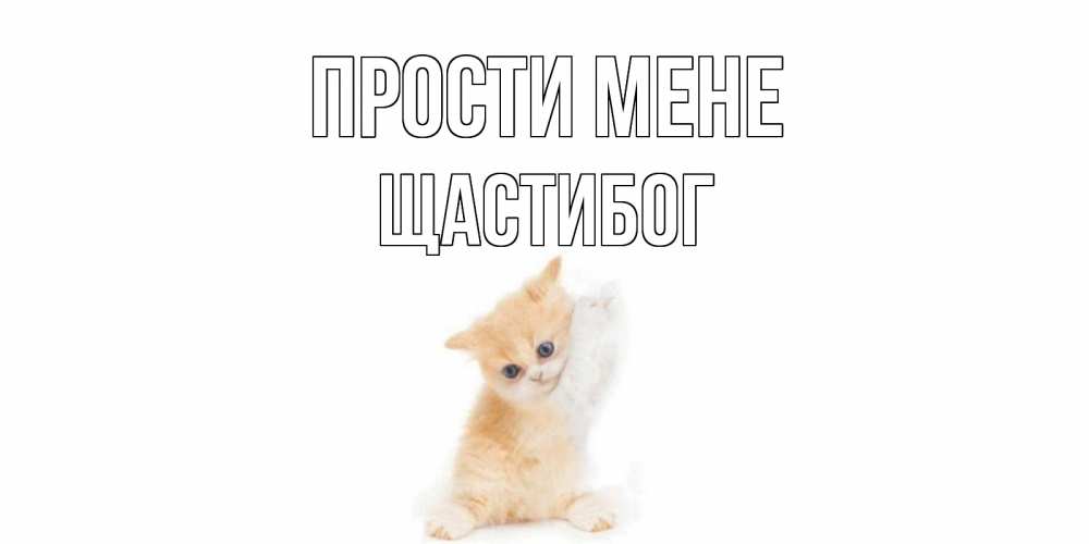Открытка на каждый день з підписом, Щастибог Прости мене кот Прикольна листівка з побажанням онлайн скачати безкоштовно 