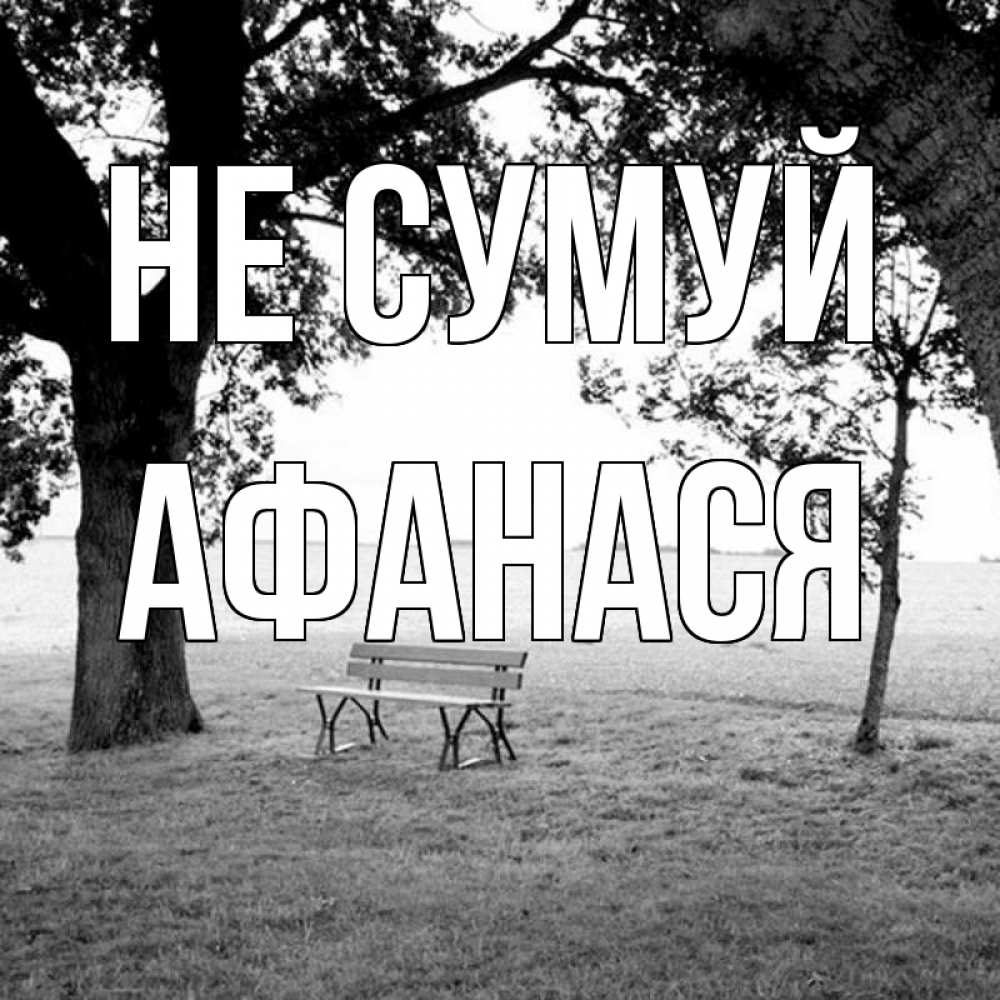 Открытка на каждый день з підписом, Афанася Не сумуй мощное дерево Прикольна листівка з побажанням онлайн скачати безкоштовно 