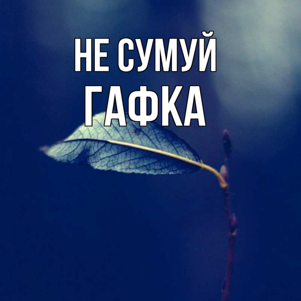 Открытка на каждый день з підписом, Гафка Не сумуй растение Прикольна листівка з побажанням онлайн скачати безкоштовно 