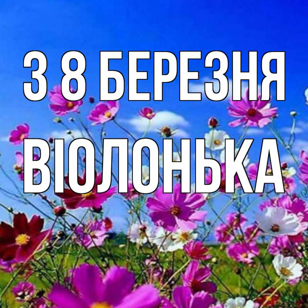 Открытка на каждый день з підписом, Віолонька З 8 БЕРЕЗНЯ цветы Прикольна листівка з побажанням онлайн скачати безкоштовно 