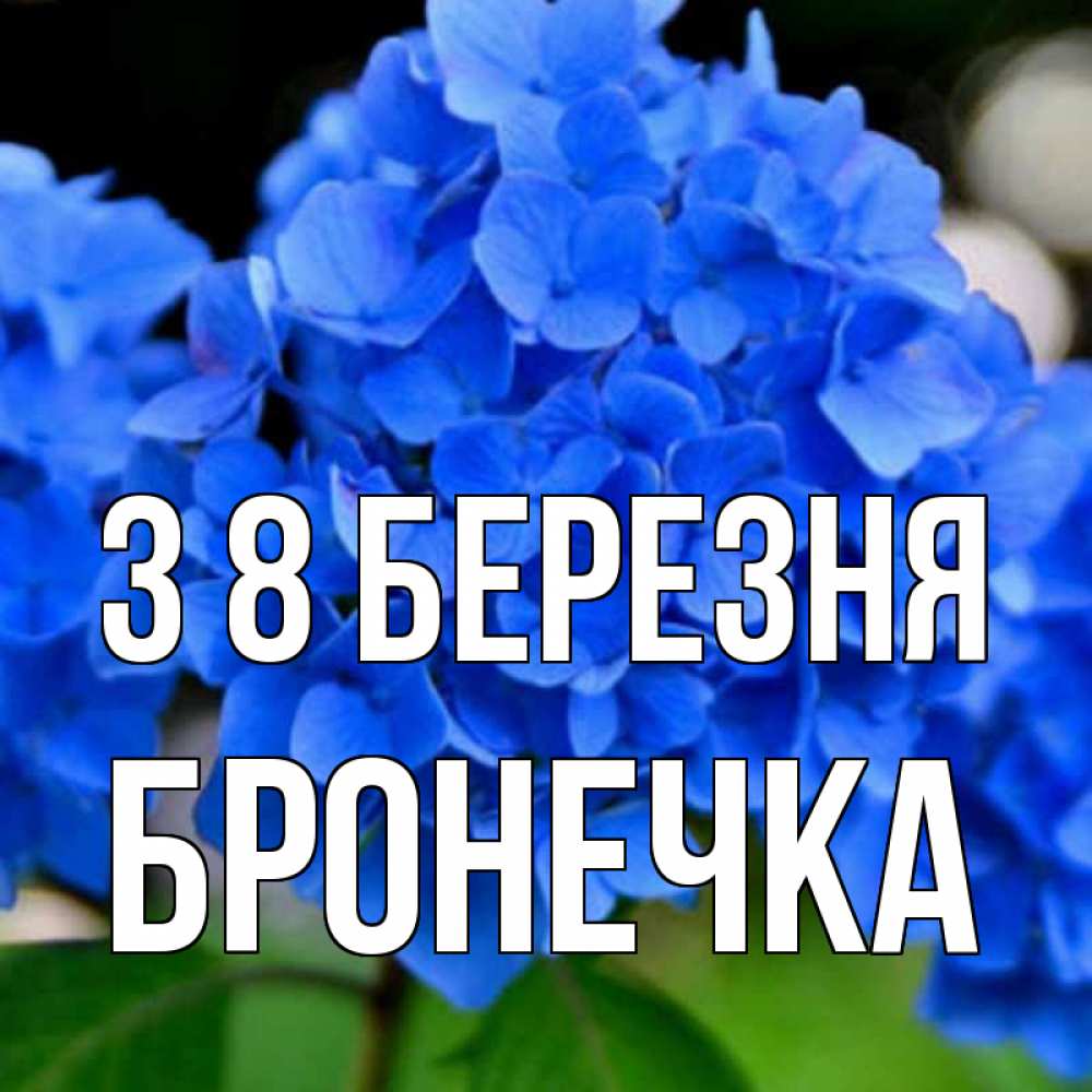 Открытка на каждый день з підписом, Бронечка З 8 БЕРЕЗНЯ синие цветы Прикольна листівка з побажанням онлайн скачати безкоштовно 