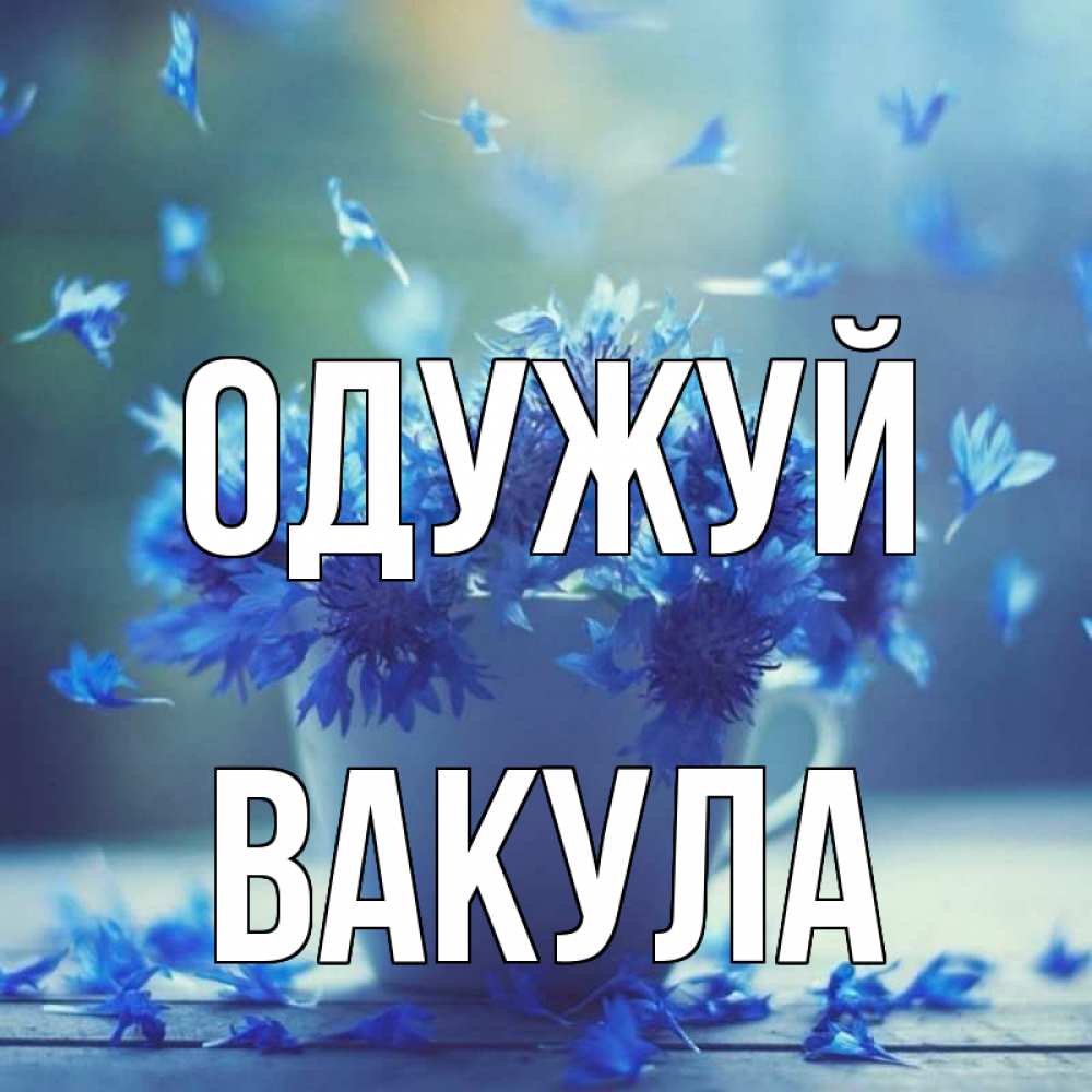 Открытка на каждый день з підписом, Вакула Одужуй кружка с зельем и цветами Прикольна листівка з побажанням онлайн скачати безкоштовно 