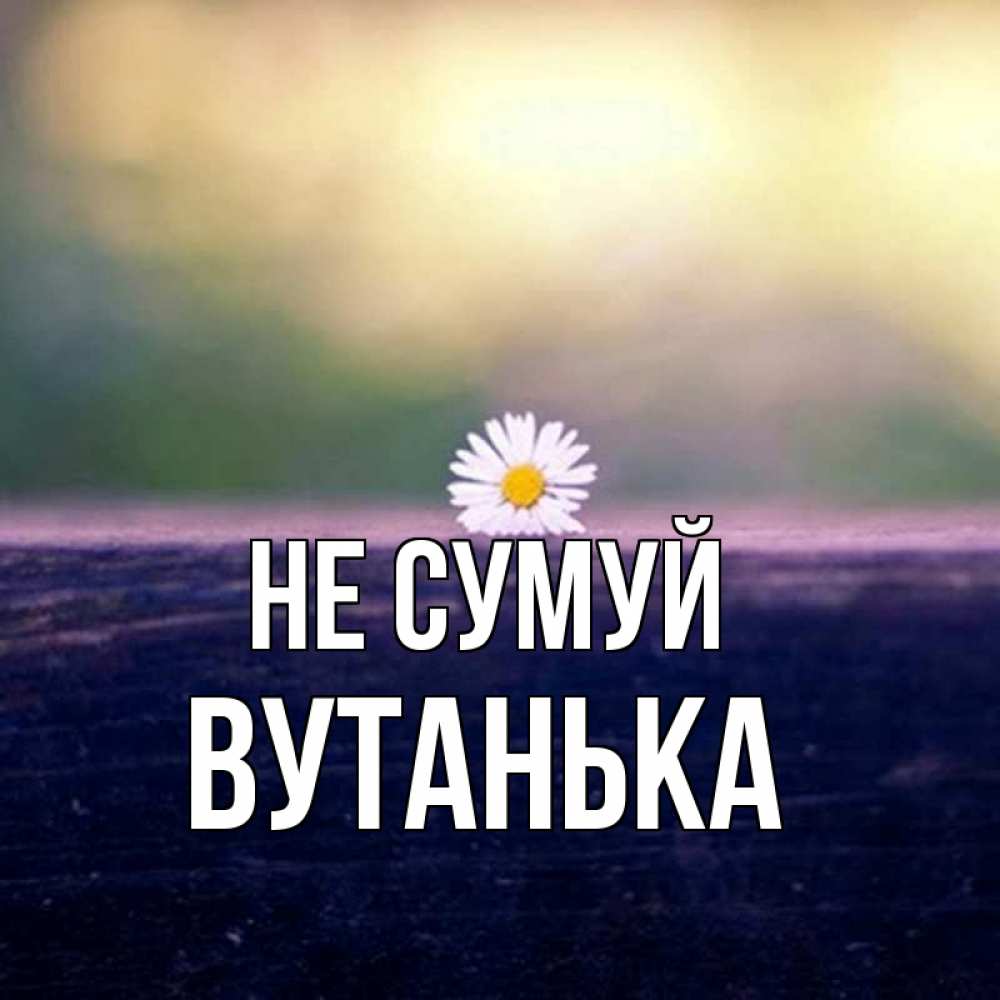 Открытка на каждый день з підписом, Вутанька Не сумуй красота Прикольна листівка з побажанням онлайн скачати безкоштовно 