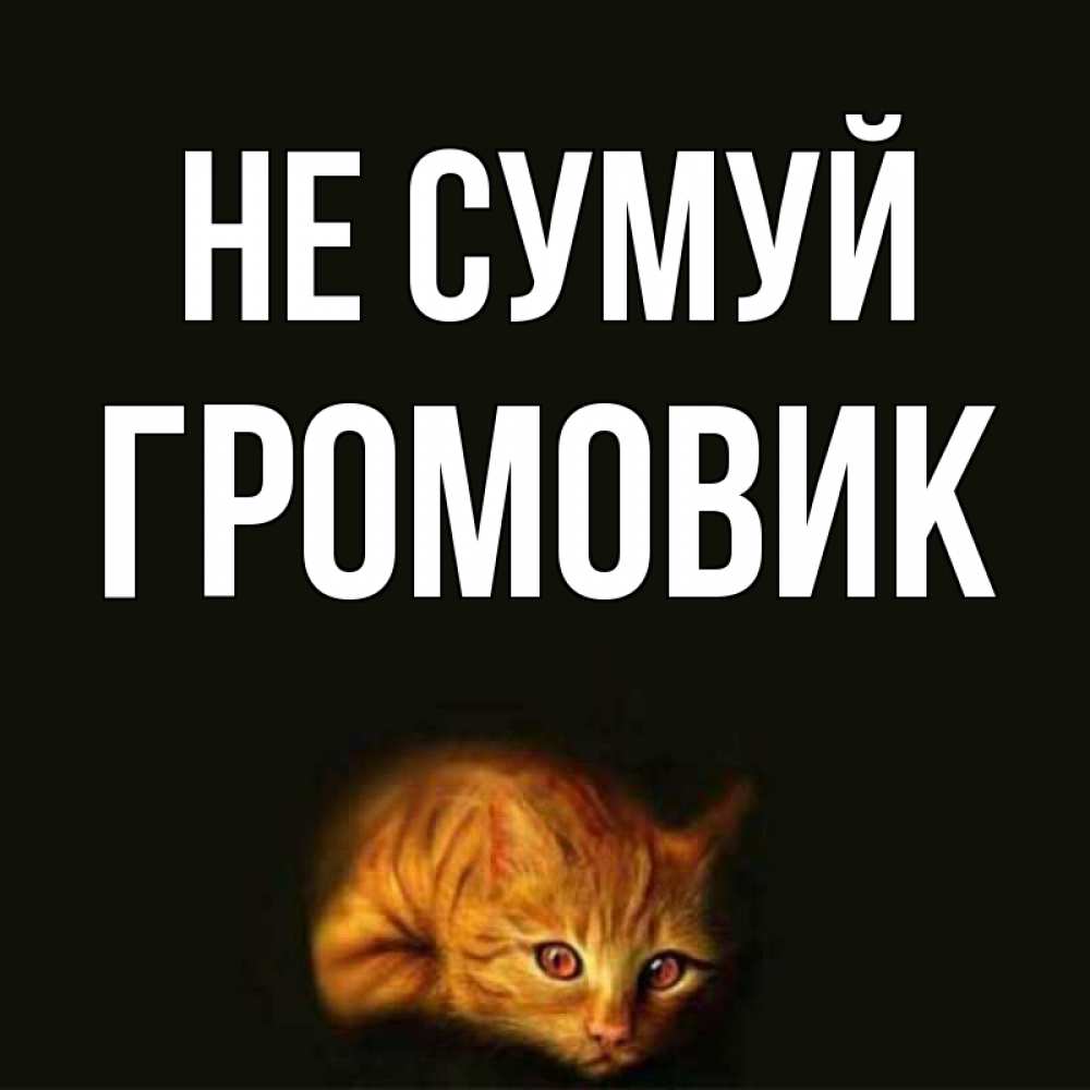 Открытка на каждый день з підписом, Громовик Не сумуй лежащий кот в темноте Прикольна листівка з побажанням онлайн скачати безкоштовно 