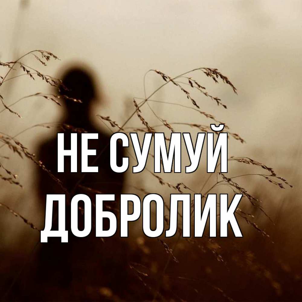 Открытка на каждый день з підписом, Добролик Не сумуй грусть Прикольна листівка з побажанням онлайн скачати безкоштовно 