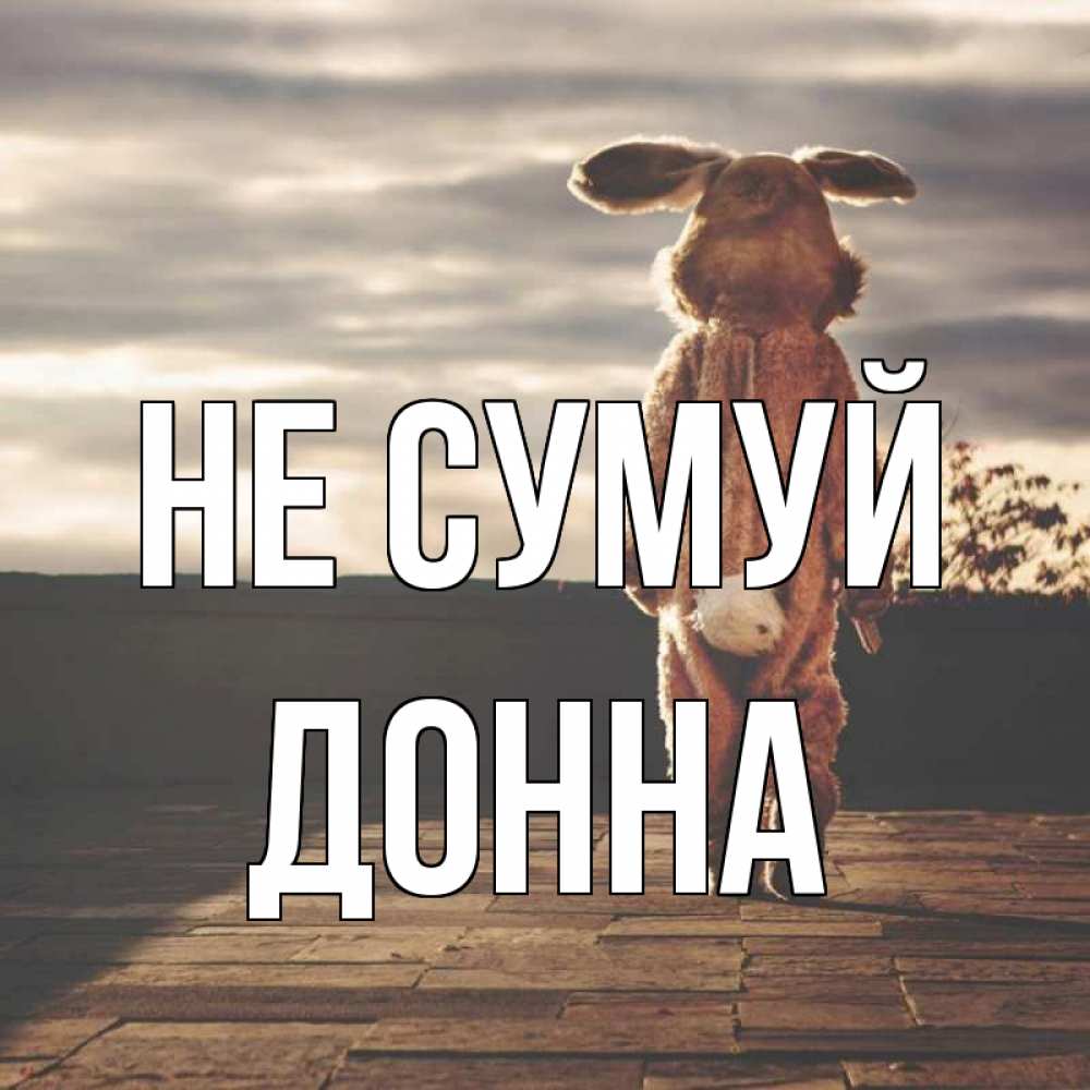 Открытка на каждый день з підписом, Донна Не сумуй со спины Прикольна листівка з побажанням онлайн скачати безкоштовно 