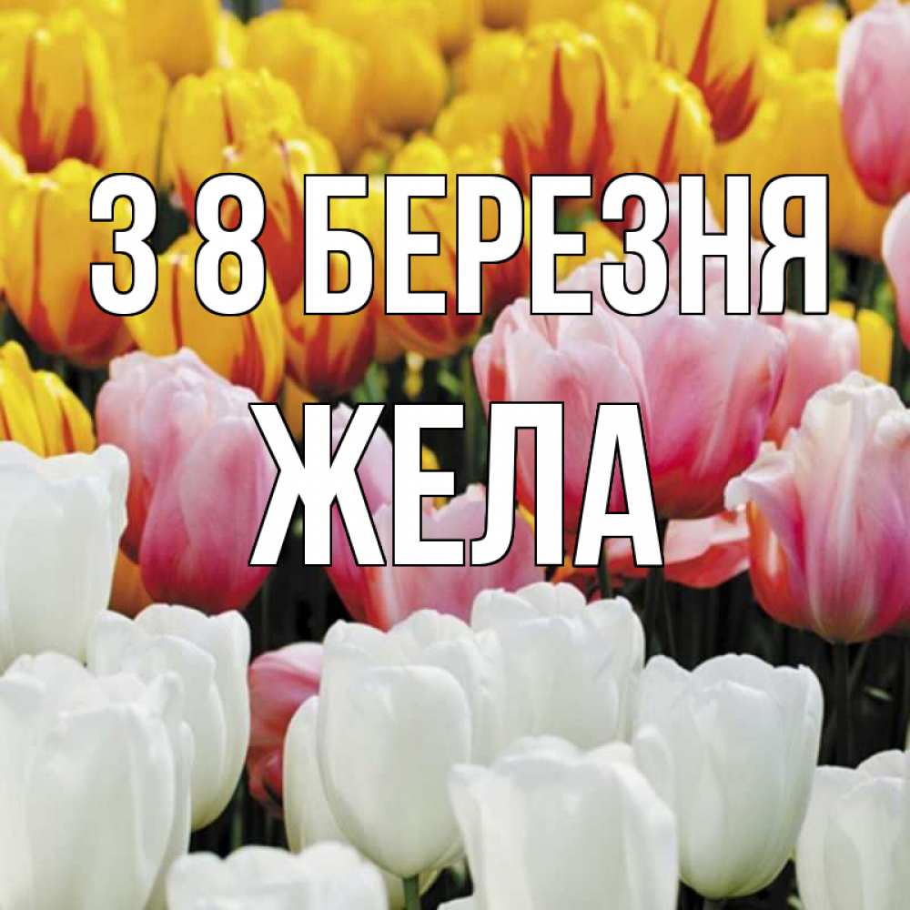 Открытка на каждый день з підписом, Жела З 8 БЕРЕЗНЯ разноцветные цветы Прикольна листівка з побажанням онлайн скачати безкоштовно 