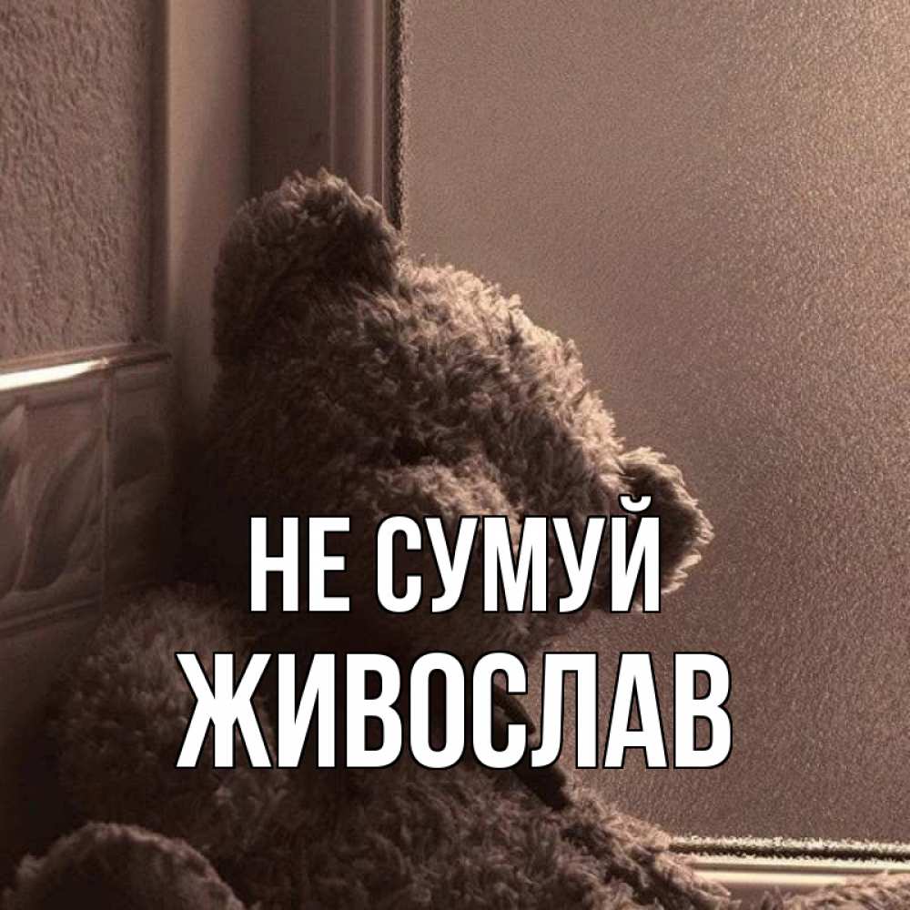 Открытка на каждый день з підписом, Живослав Не сумуй стекол рефленое Прикольна листівка з побажанням онлайн скачати безкоштовно 