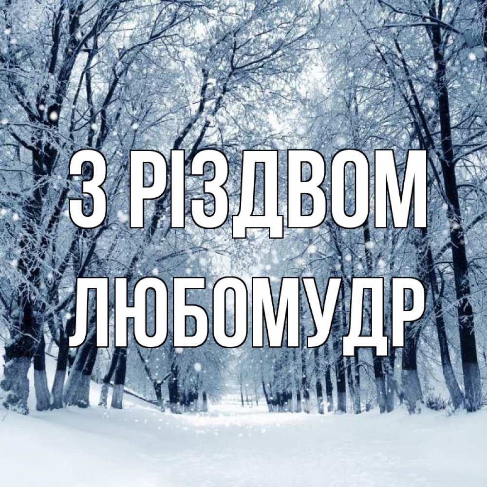 Открытка на каждый день з підписом, Любомудр З Різдвом снег, лес, парк Прикольна листівка з побажанням онлайн скачати безкоштовно 