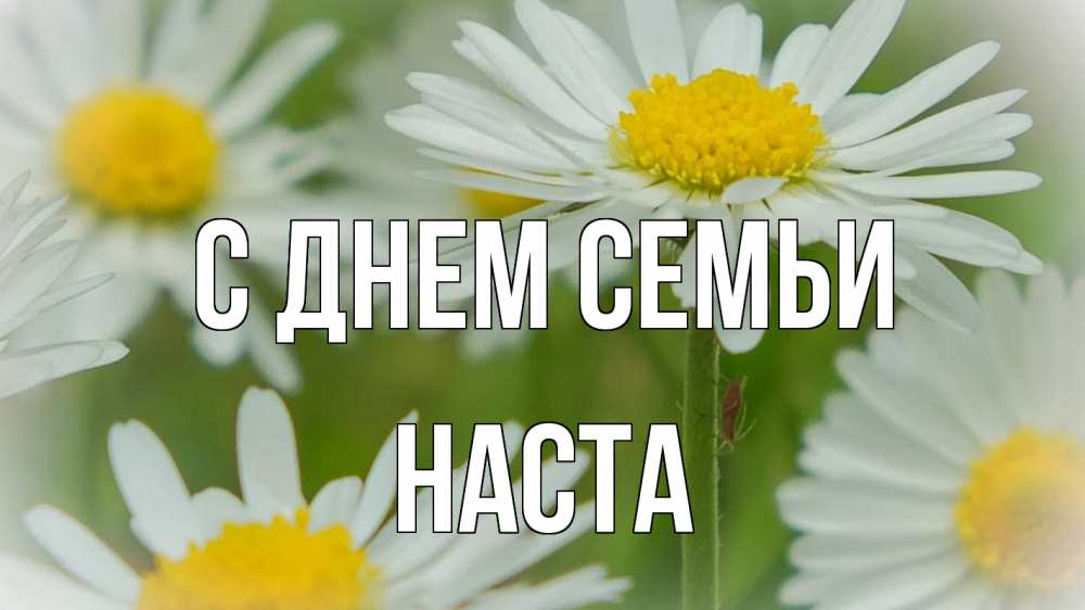 Открытка на каждый день з підписом, Наста С днем семьи с днем семьи  1 Прикольна листівка з побажанням онлайн скачати безкоштовно 