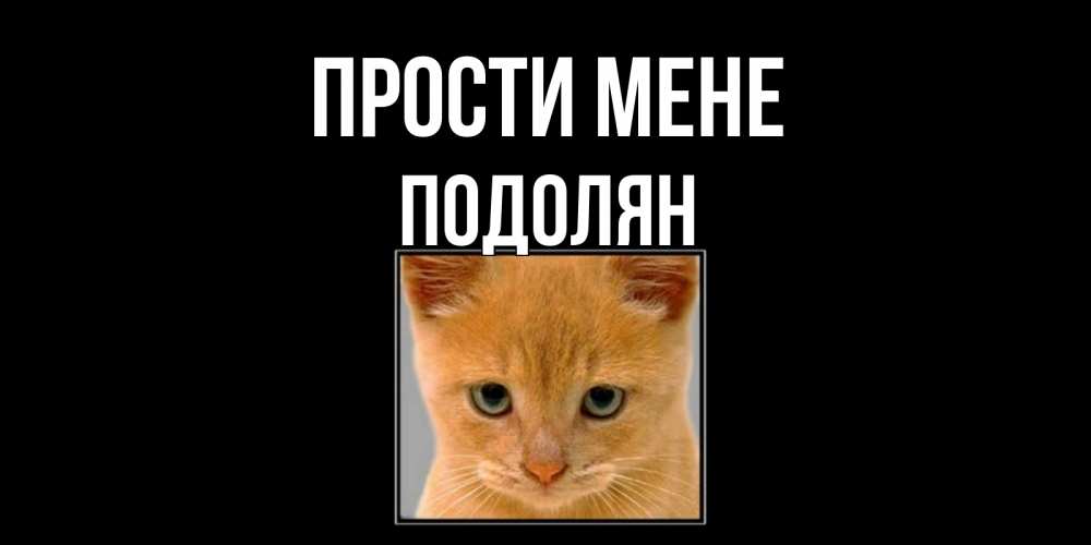 Открытка на каждый день з підписом, Подолян Прости мене рыжий грустный кот просит прощения Прикольна листівка з побажанням онлайн скачати безкоштовно 