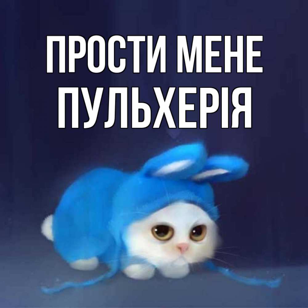 Открытка на каждый день з підписом, Пульхерія Прости мене невинный котозай просит прощения Прикольна листівка з побажанням онлайн скачати безкоштовно 