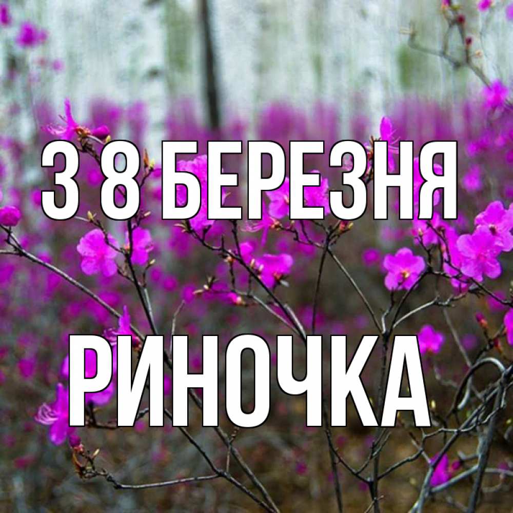 Открытка на каждый день з підписом, Риночка З 8 БЕРЕЗНЯ дикие цветы Прикольна листівка з побажанням онлайн скачати безкоштовно 