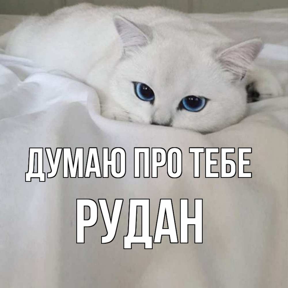Открытка на каждый день з підписом, Рудан Думаю про тебе я очень по тебе скучаю и тоскую Прикольна листівка з побажанням онлайн скачати безкоштовно 