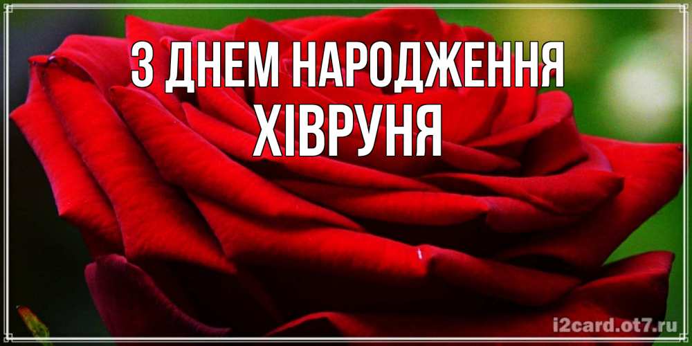 Открытка на каждый день з підписом, Хівруня З Днем народження розочка очень красивая Прикольна листівка з побажанням онлайн скачати безкоштовно 