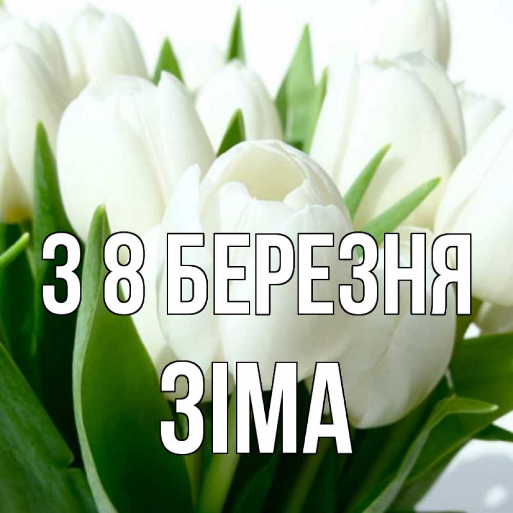 Открытка на каждый день з підписом, Зіма З 8 БЕРЕЗНЯ цветы Прикольна листівка з побажанням онлайн скачати безкоштовно 